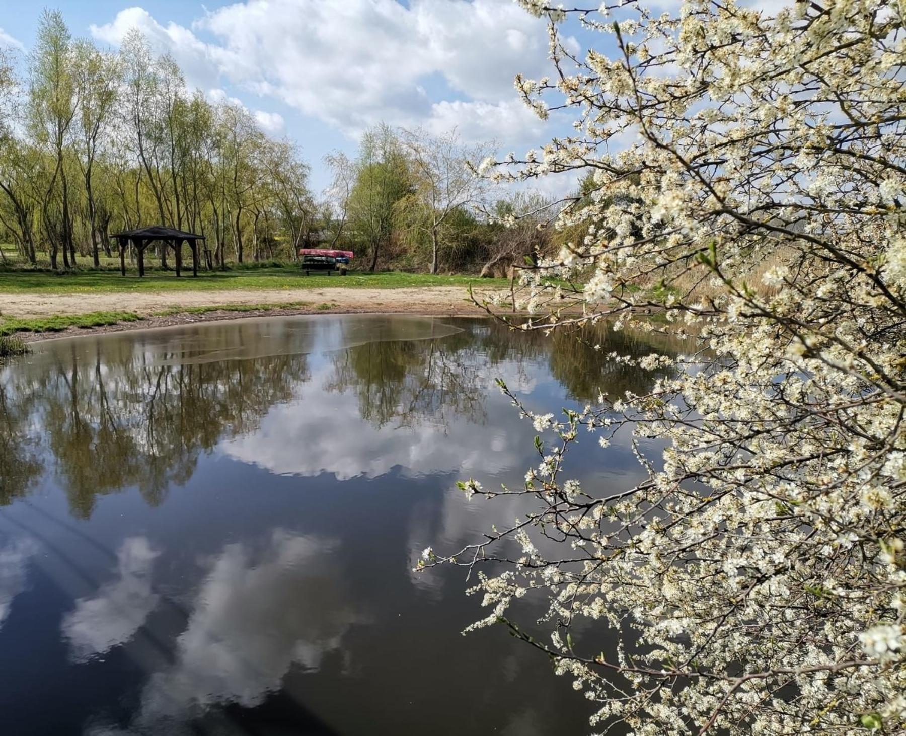 Ferienwohnung Neukalen Exteriör bild